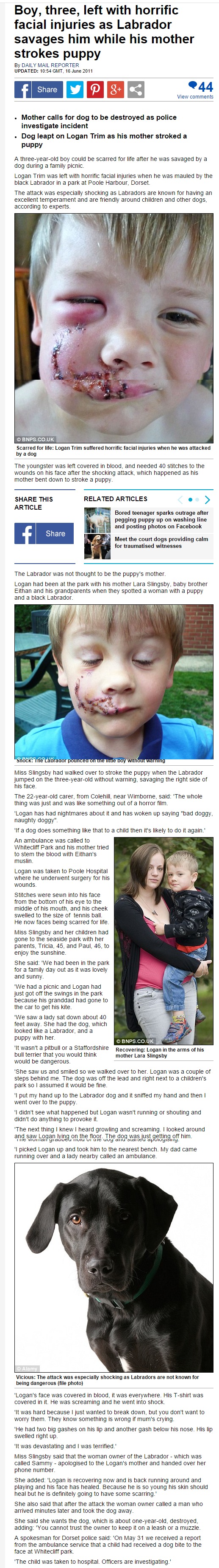 Původní zpráva z roku 2011o chlapci napadeném psem ( dailymail.co.uk/ )